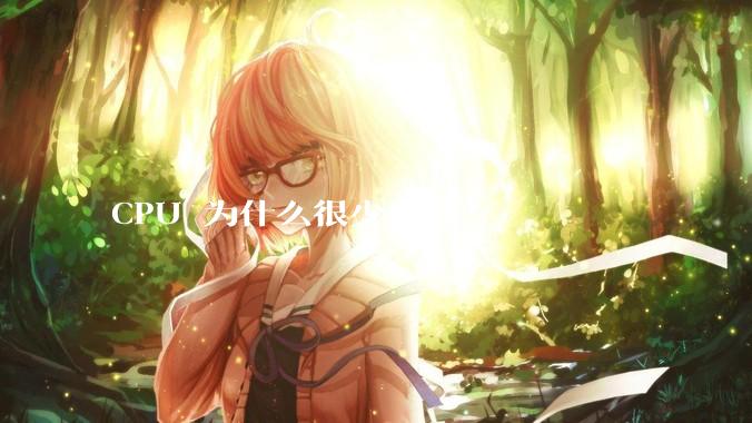 CPU 为什么很少会坏？