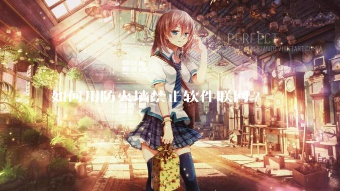 如何用防火墙禁止软件联网?