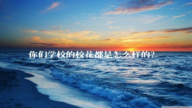 你们学校的校花都是怎么样的？