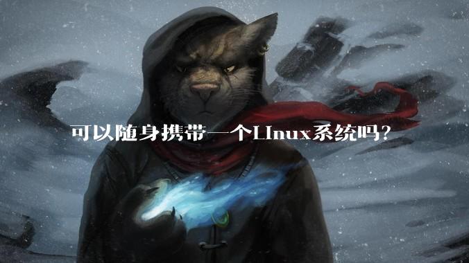 可以随身携带一个Linux系统吗？
